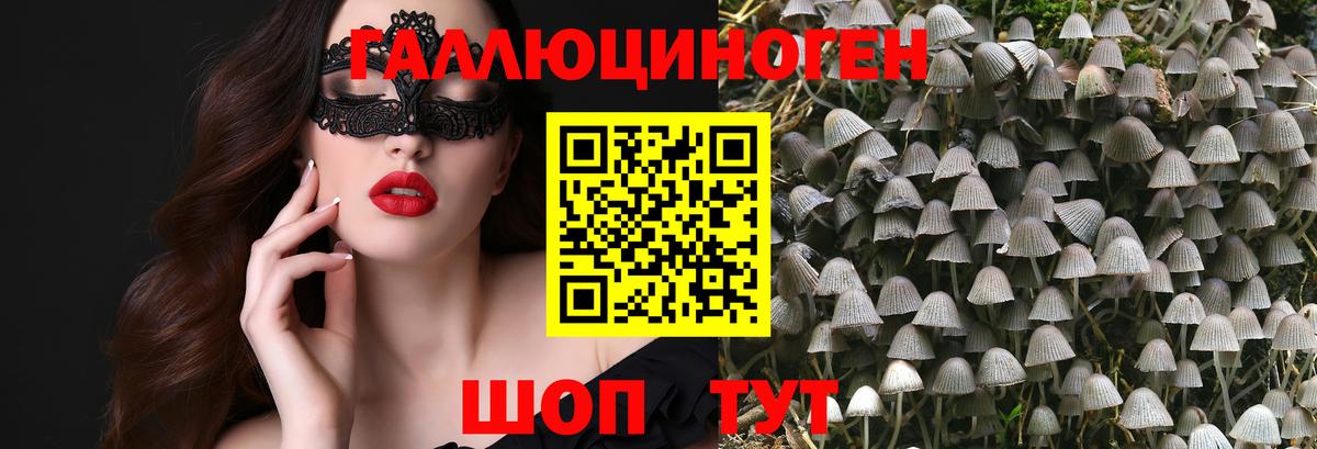 Псилоцибиновые грибы прущие грибы Корсаков